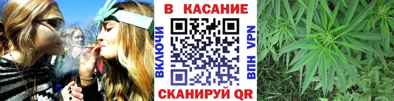Наркошоп Ногинск Канабис  kraken маркетплейс  Гашиш  Галлюциногенные грибы  Альфа ПВП  Амфетамин 
