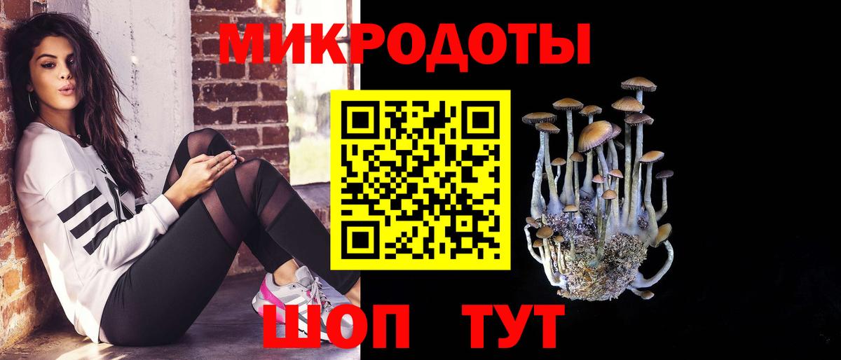 наркотики  Вход с VPN  Ногинск  Псилоцибиновые грибы мухоморы 