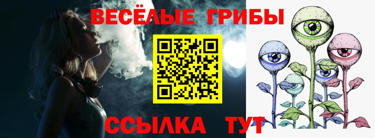 Псилоцибиновые грибы Cubensis Ногинск