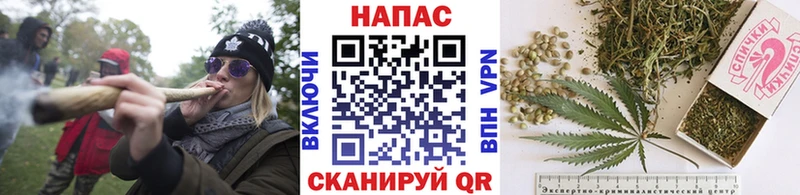 сайты даркнета клад  Ногинск  kraken вход  Бошки Шишки сатива  купить наркотик 